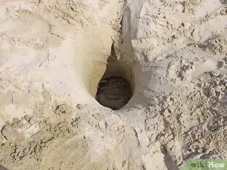 Image titled Enjoy the Beach with Your Toddlers Step 8