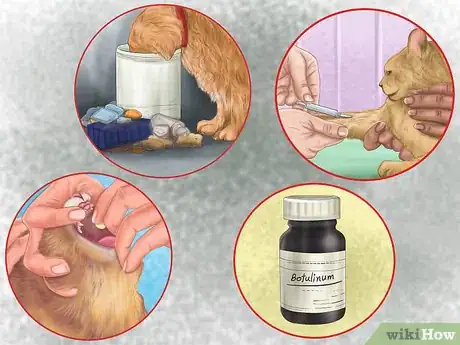 Image titled Make Your House a Better Place for Animals Step 4