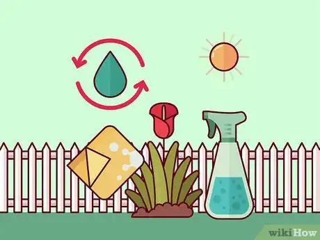 Image titled Get Calla Lilies to Flower Step 15