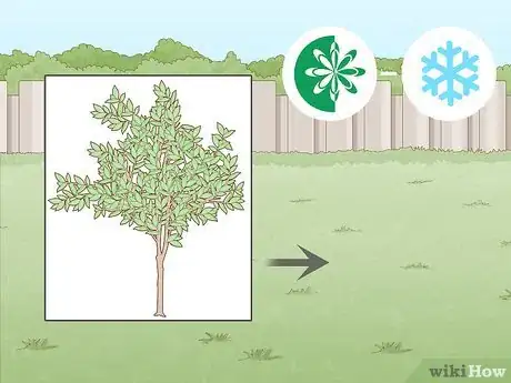 Image titled Plant a Pear Tree Step 1