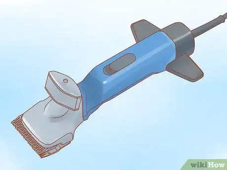 Image titled Groom a Horse for a Show Step 11