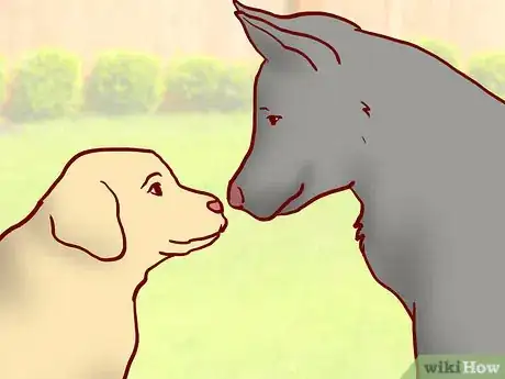 Image titled Maintain Social Skills in Older Dogs Step 4