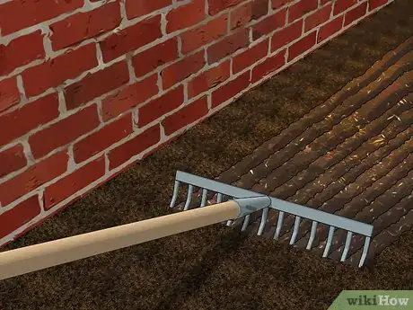 Image titled Grow Akebia Quinata Step 11