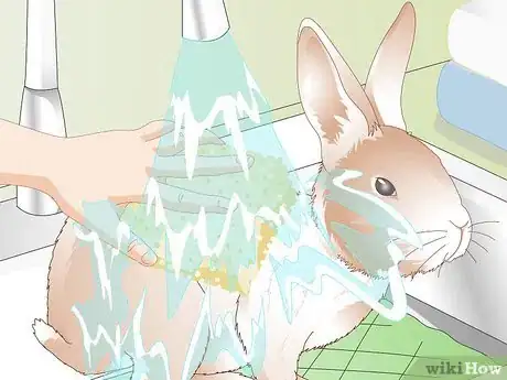 Image titled Care for Disabled Rabbits Step 12