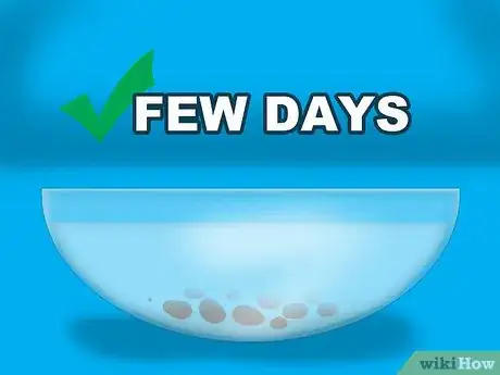 Image titled Get Rid of Lice Using Custard Apple Seed Paste Step 2