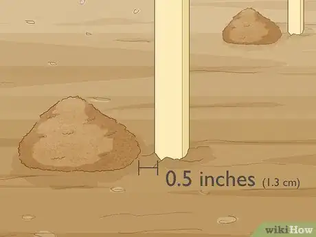 Image titled Plant Gloriosa Bulbs Step 6