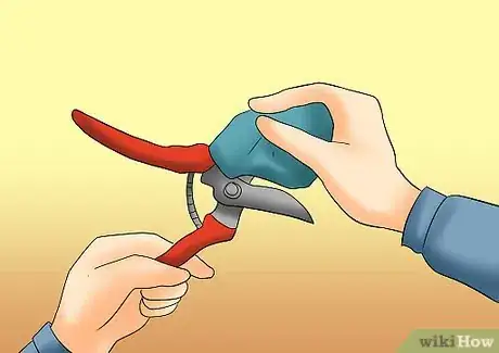 Image titled Prune Tardiva Hydrangea Step 1