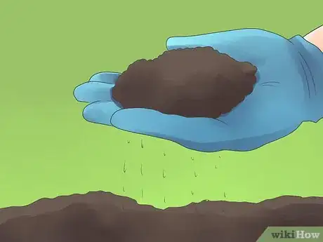 Image titled Grow Bell Peppers Step 3