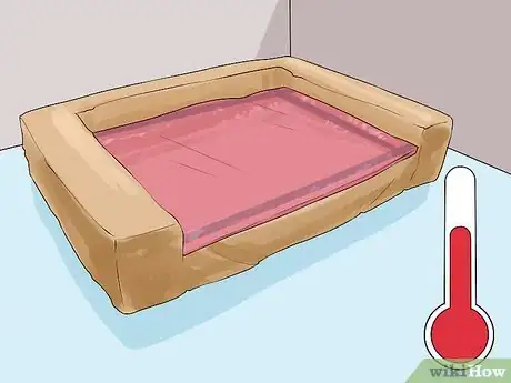 Image titled Manage Arthritis in Senior Dogs Step 5