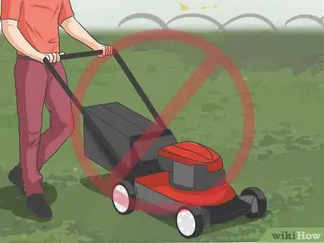 Image titled Live With Allergies to Pollen Step 4