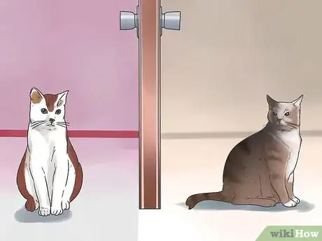 Image titled Connect With an Animal Step 2