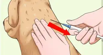 Administer a Vaccine to a Dog