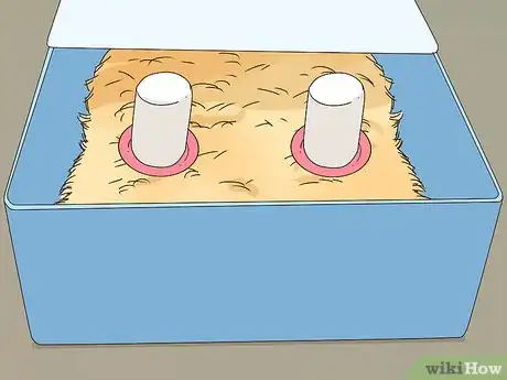 Image titled Raise Quail for Eggs Step 9