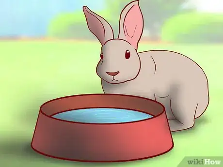 Image titled Have a Rabbit Friendly Garden Step 6