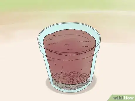 Image titled Grow Roses in Containers Step 6