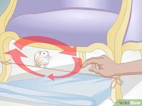 Image titled Train a Hamster or a Mouse to Walk on a Tightrope Step 10
