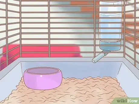 Image titled Introduce a New Hamster to Your Home Step 6