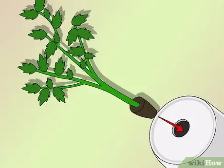 Image titled Make an Upside Down Tomato Planter Step 3