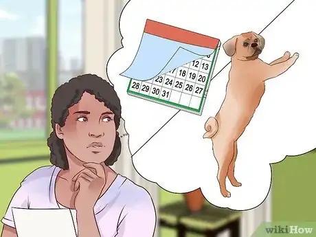 Image titled Train Puggles Step 8