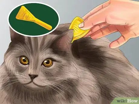 Image titled Treat Skin Inflammation in Cats Step 5