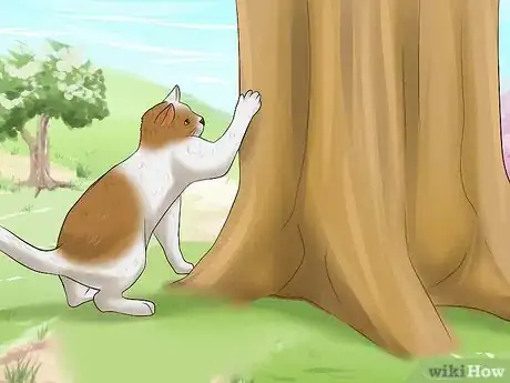 Image titled Diagnose Tapeworms in Cats Step 2