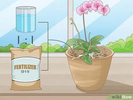 Image titled Repot Orchids with Air Roots Step 15