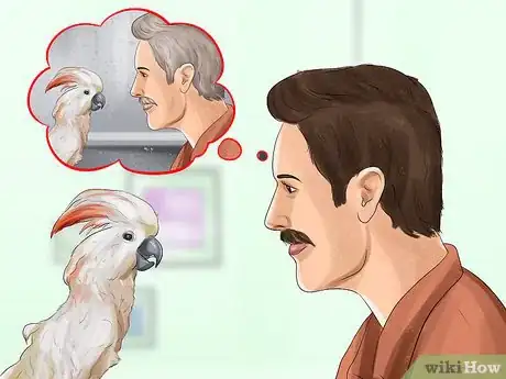Image titled Live With a Moluccan Cockatoo Step 4