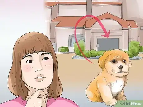 Image titled Care for Shihpoos Step 3