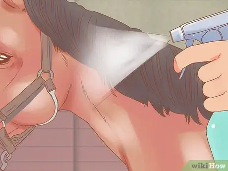 Image titled Groom a Horse for a Show Step 18