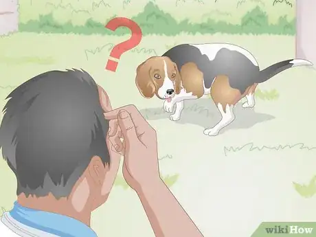 Image titled Deal with Excessive Licking in Older Dogs Step 6