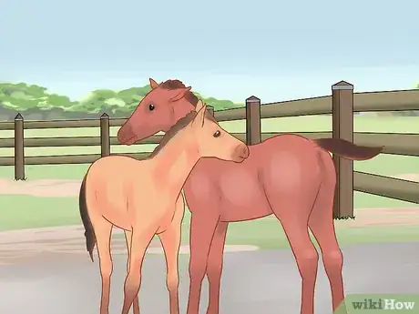 Image titled Wean a Foal Step 9
