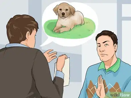 Image titled Buy a Labrador Retriever Puppy Step 20