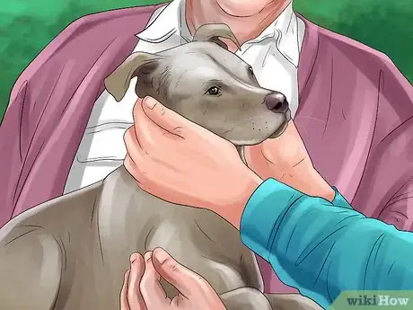 Image titled Decide if a Pit Bull Is Right for You Step 8