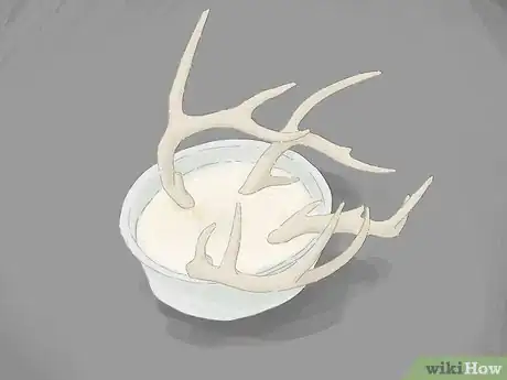 Image titled Mount Antlers Step 3
