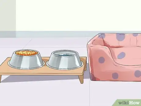 Image titled Greatly Improve the Life of a Dog with Arthritis Step 4