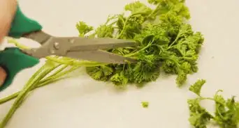 Prepare Parsley