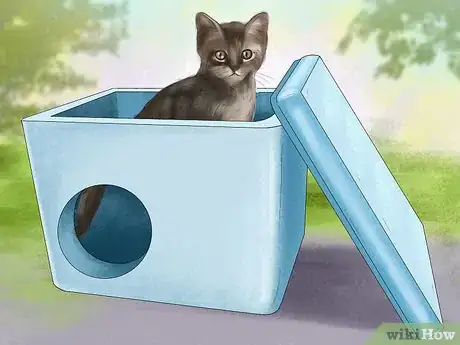 Image titled Protect an Outdoor Cat from Excess Sunlight Step 6