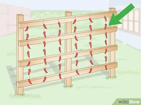 Image titled Store Chilies Step 6