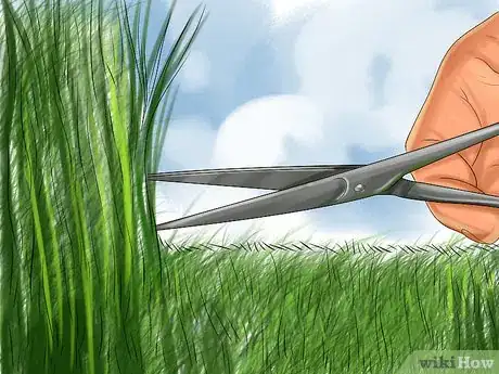 Image titled Give Cat Grass to a Cat Step 10