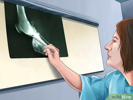 Image titled Treat a Dog with Osteosarcoma Step 3