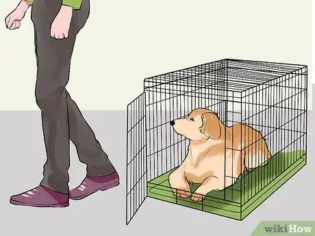 Image titled Care for a Recently Rehomed Dog Step 12