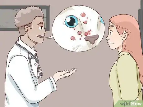 Image titled Handle Autoimmune Skin Disease in Cats Step 6