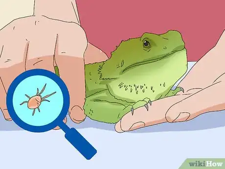 Image titled Give a Lizard a Bath Step 10