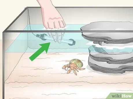 Image titled Care for a Marine Hermit Crab Step 10