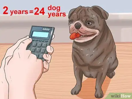Image titled Calculate Dog Years Step 11