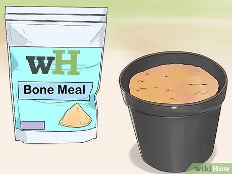 Image titled Grow Roses in Containers Step 7