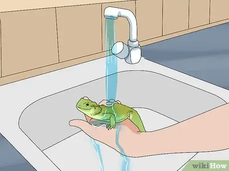Image titled Give a Lizard a Bath Step 15