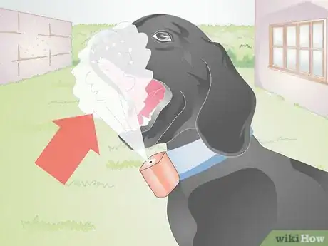 Image titled Find the Right Collar for Your Dog Step 9
