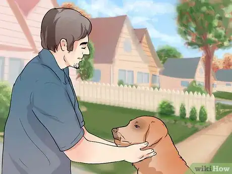 Image titled Get a Therapy Dog Step 6