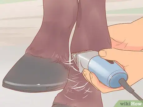 Image titled Groom a Horse for a Show Step 15